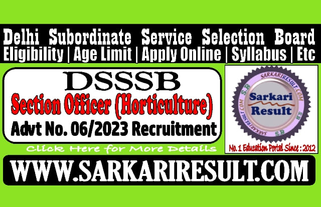 Sarkari Result DSSSB Section Officer Advt No 06/2023 Online Form 2024