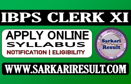 Sarkari Result IBPS Clerk XI Recruitment 2021 Apply Online Form 2021