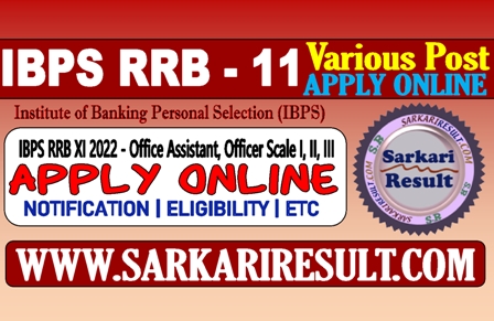 Sarkari Result IBPS RRB XI  Recruitment 2022