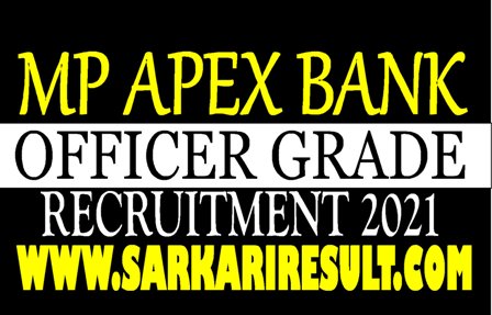 MP Apex Bank Recruitment 2021
